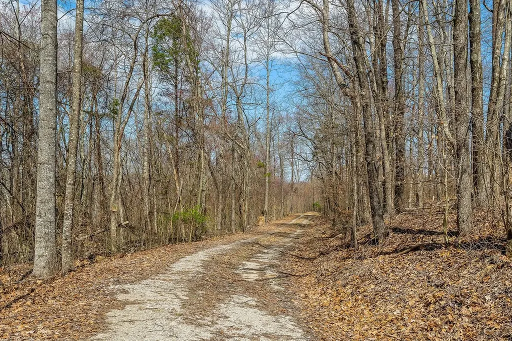 00 White Oak Flatt Road Sparta TN 38583