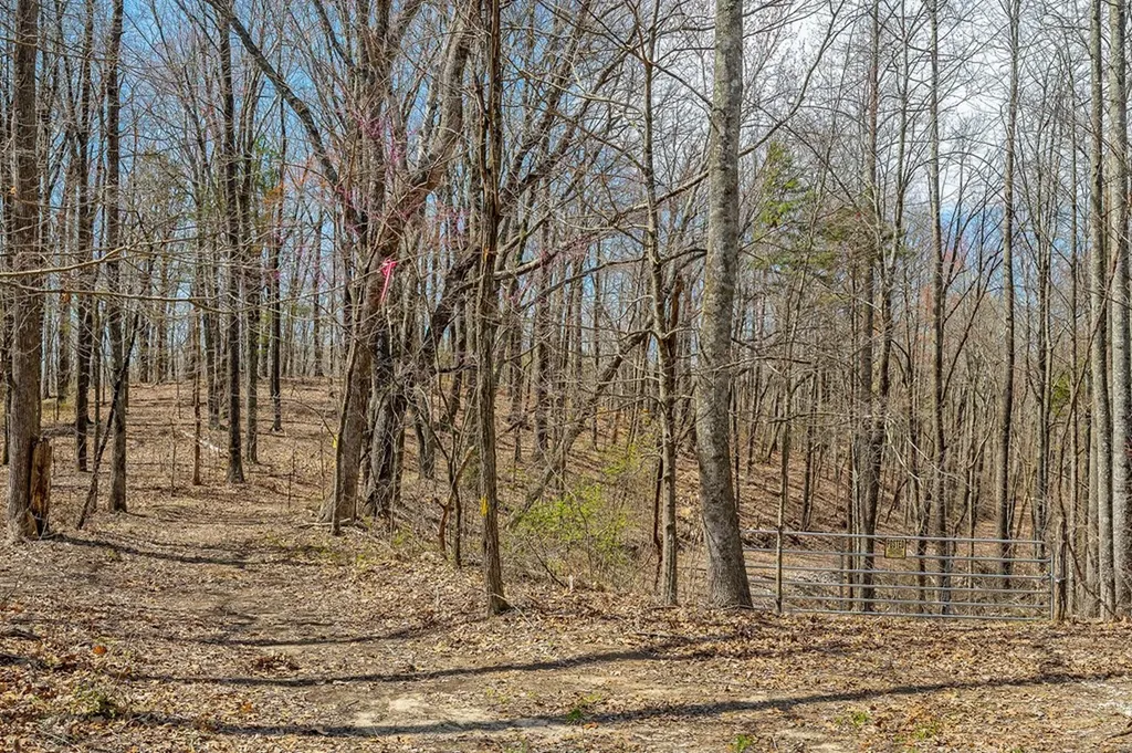 00 White Oak Flatt Road Sparta TN 38583