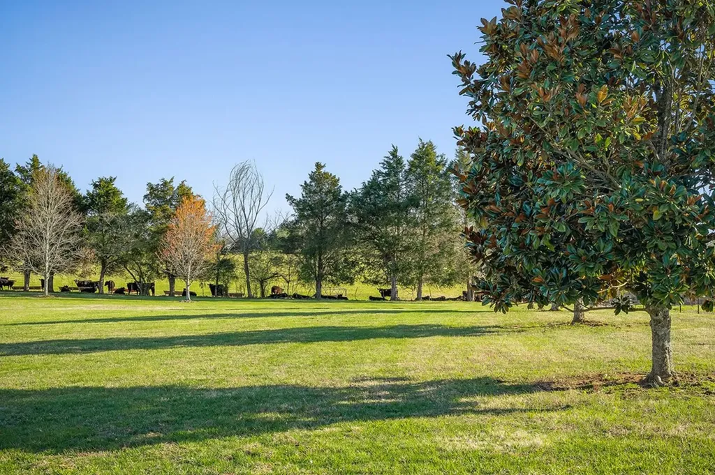 165 Southern Woods Court Cookeville TN 38506