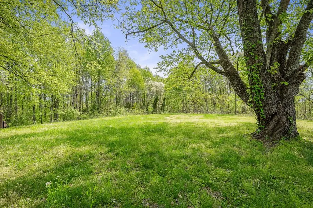 15544 Center Hill Dam Road Silver Point TN 38582