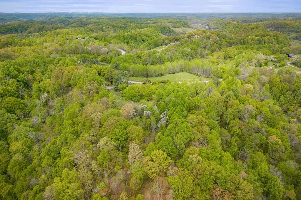 15544 Center Hill Dam Road Silver Point TN 38582