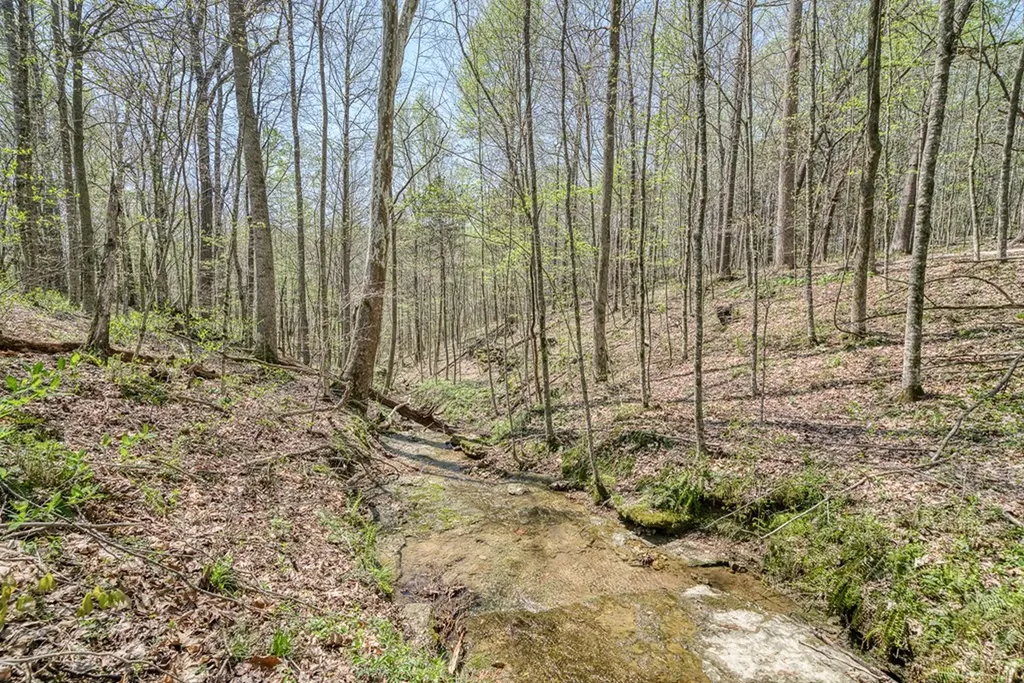 7217 Coleman Circle Baxter TN 38544