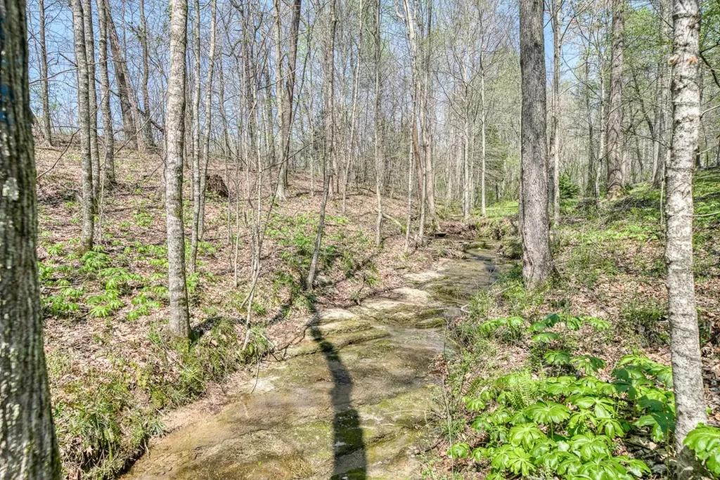 7217 Coleman Circle Baxter TN 38544