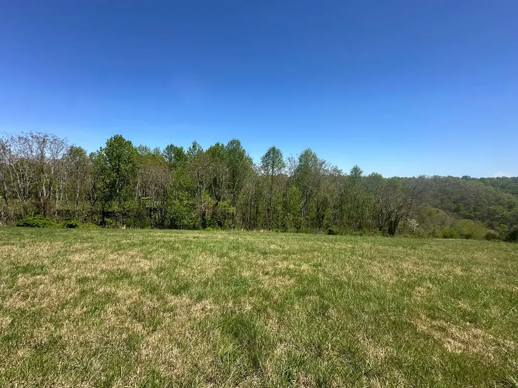 Lot 10 H O Allison Baxter TN 38544