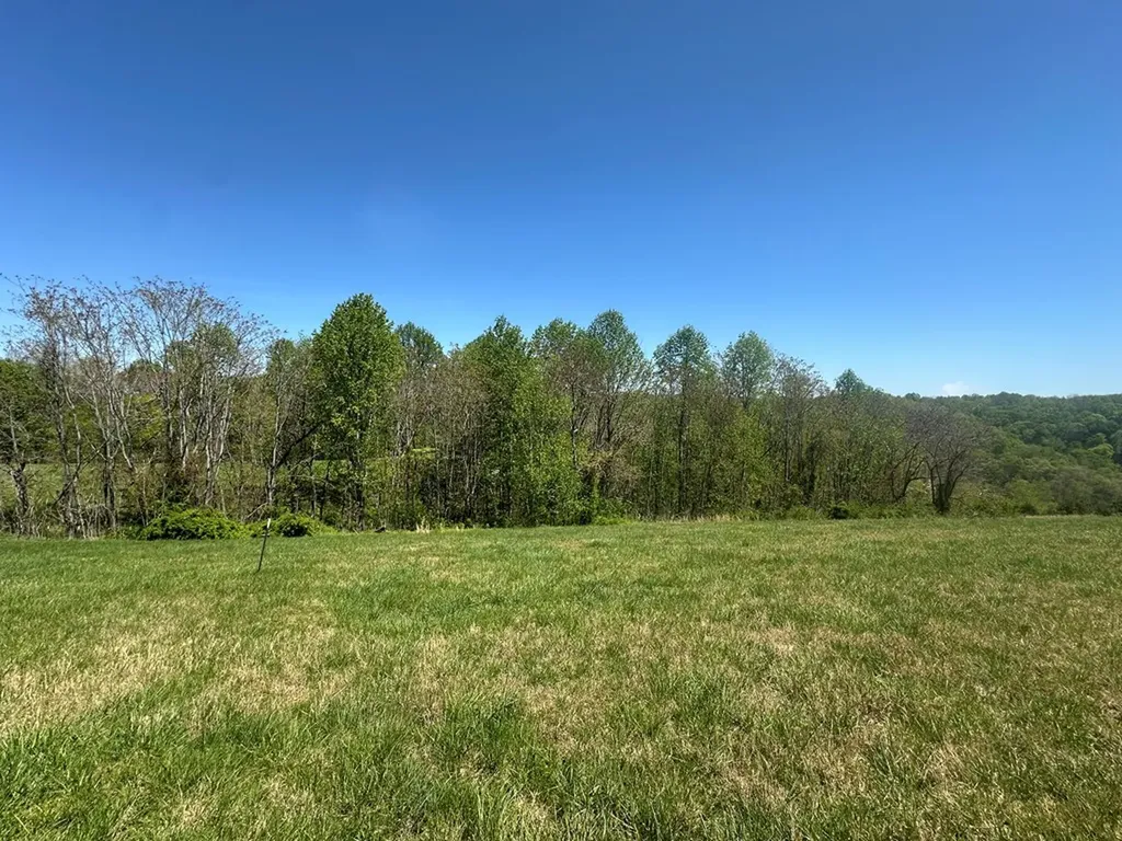 Lot 10 H O Allison Baxter TN 38544