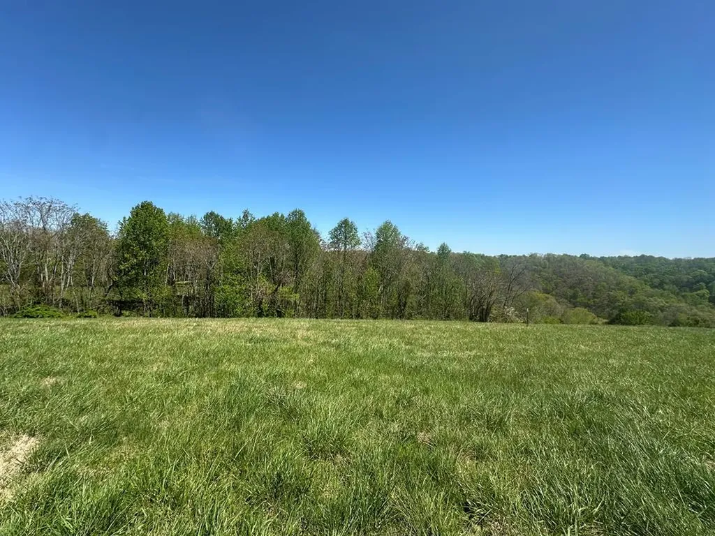 Lot 9&10 H O Allison Baxter TN 38544