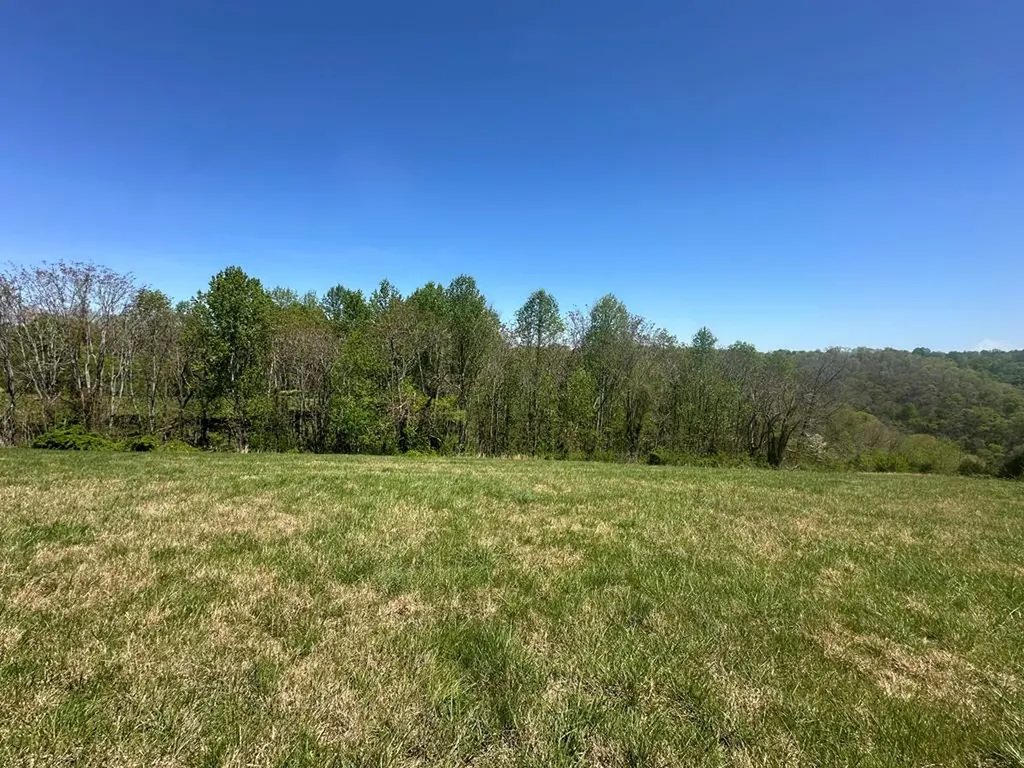 Lot 9&10 H O Allison Baxter TN 38544