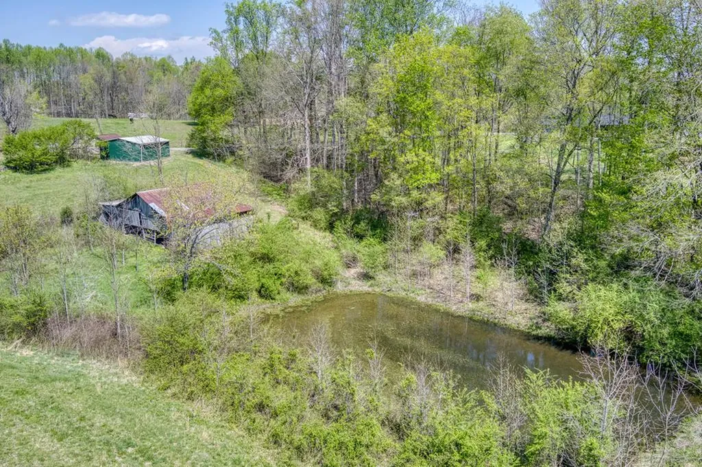 9176 Roberts Road Silver Point TN 38582