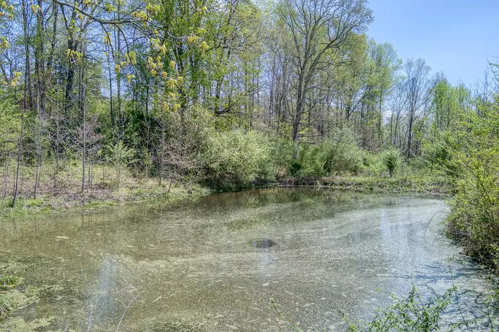 9176 Roberts Road Silver Point TN 38582