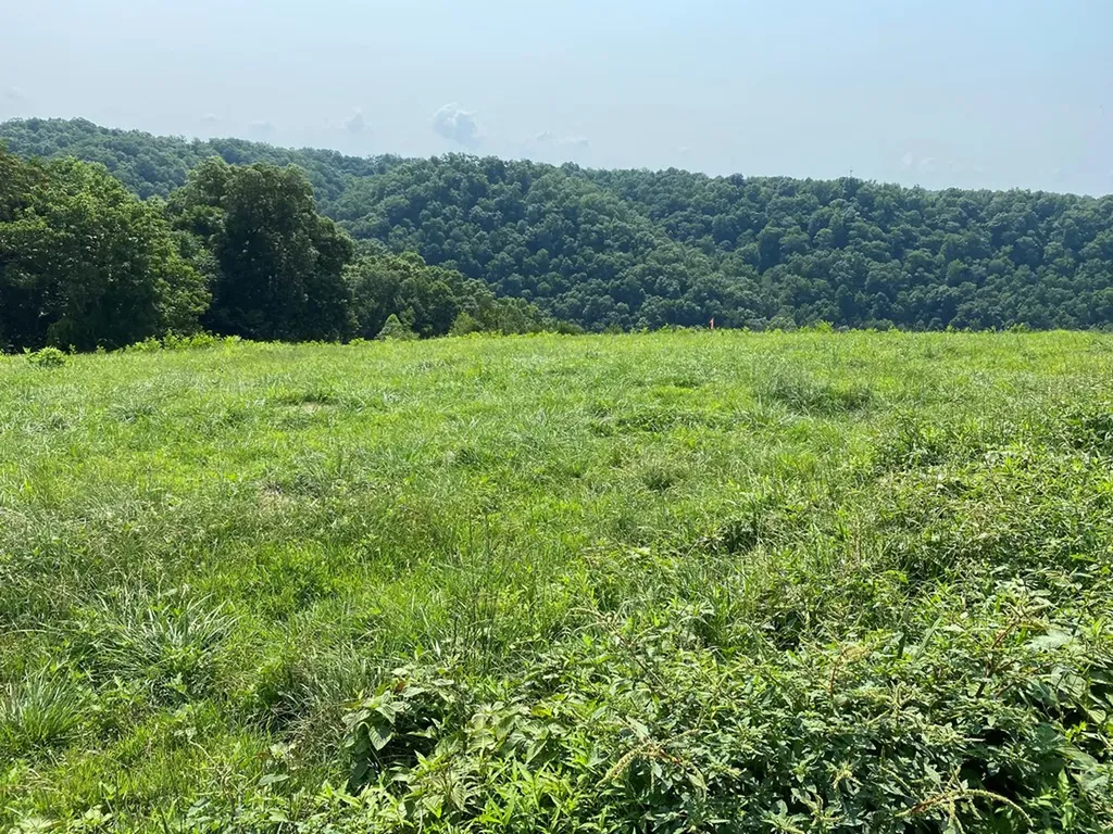 Lot 11 H O Allison Baxter TN 38544