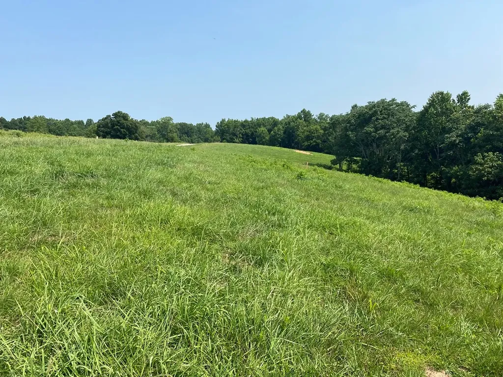 Lot 11 H O Allison Baxter TN 38544