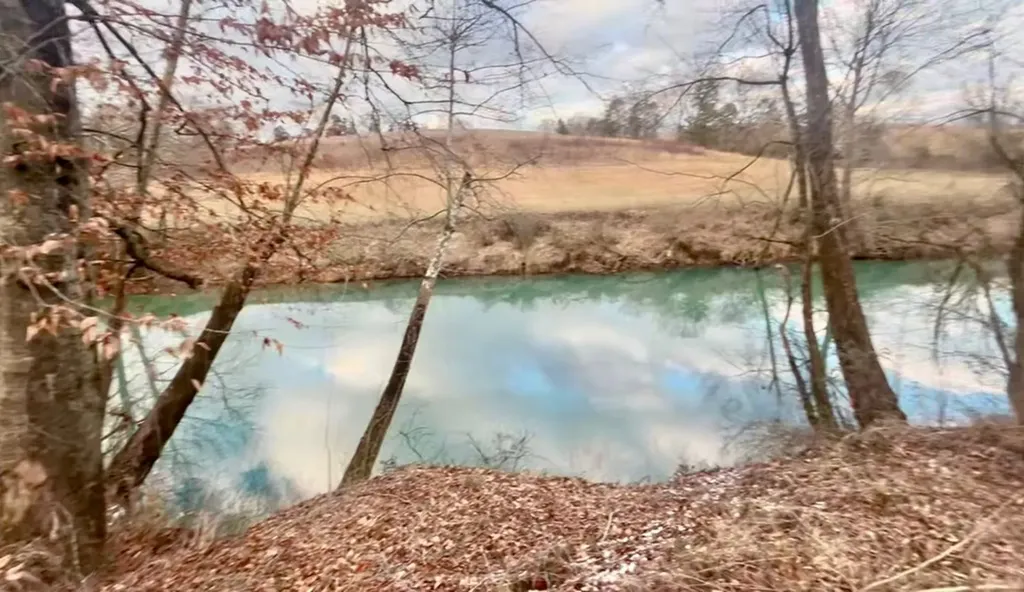 124 W Bronson Street Sparta TN 38583