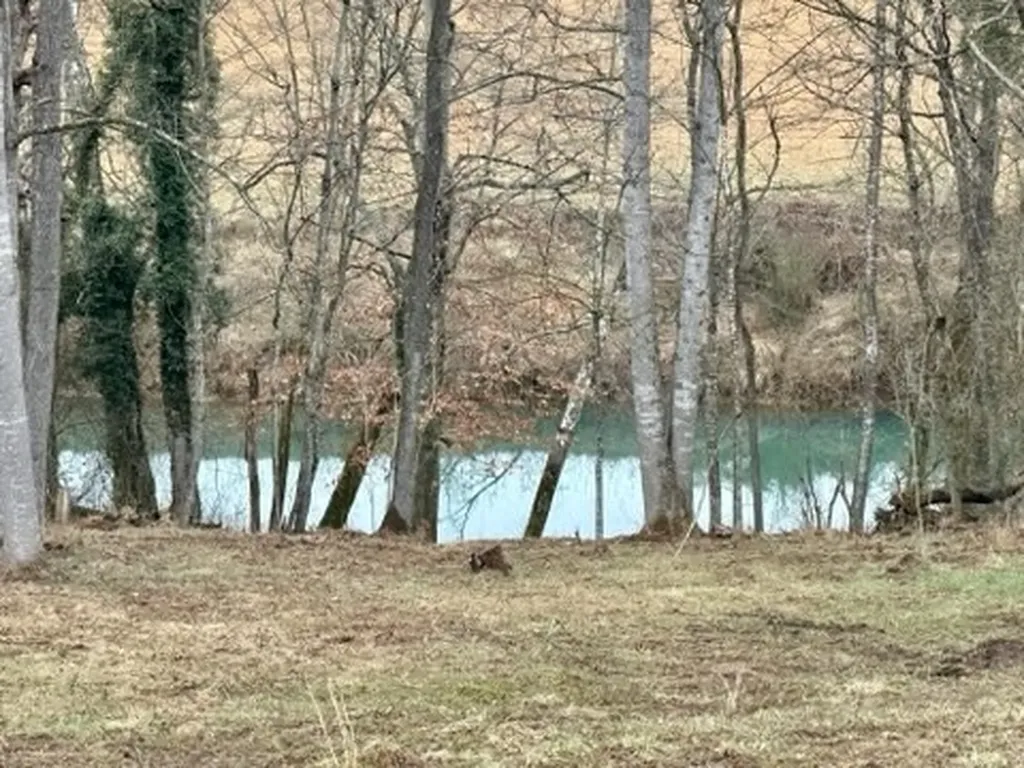 124 W Bronson Street Sparta TN 38583