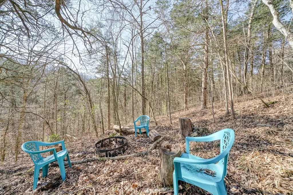 300 Sandgate Drive Smithville TN 37166