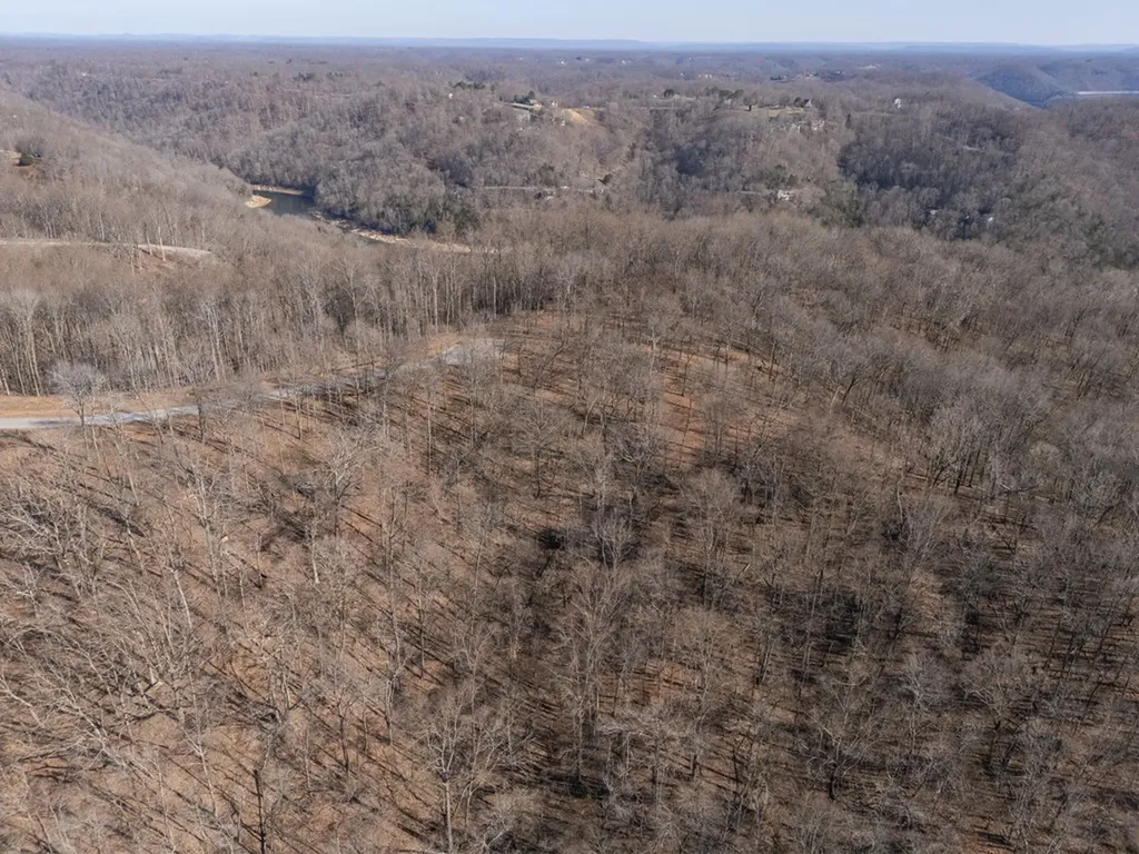 1 Ac Back Ranch Drive Silver Point TN 38582
