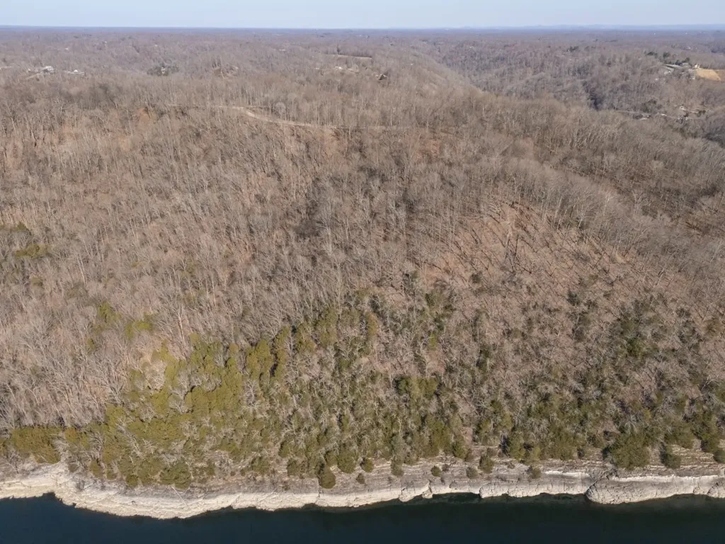 1 Ac Back Ranch Drive Silver Point TN 38582