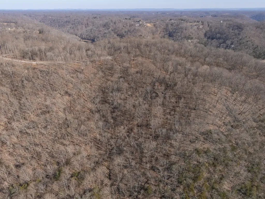 1 Ac Back Ranch Drive Silver Point TN 38582