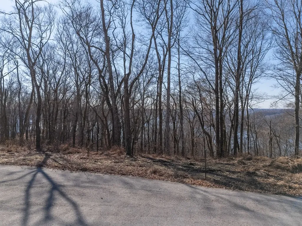 1 Ac Back Ranch Drive Silver Point TN 38582