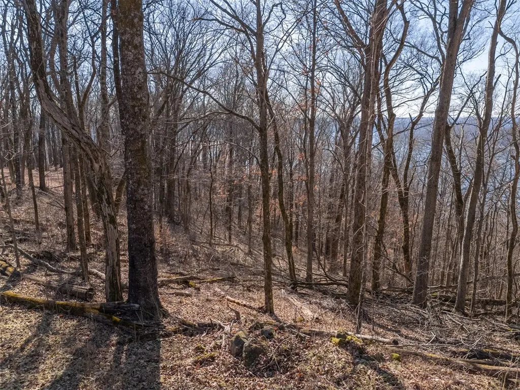 1 Ac Back Ranch Drive Silver Point TN 38582