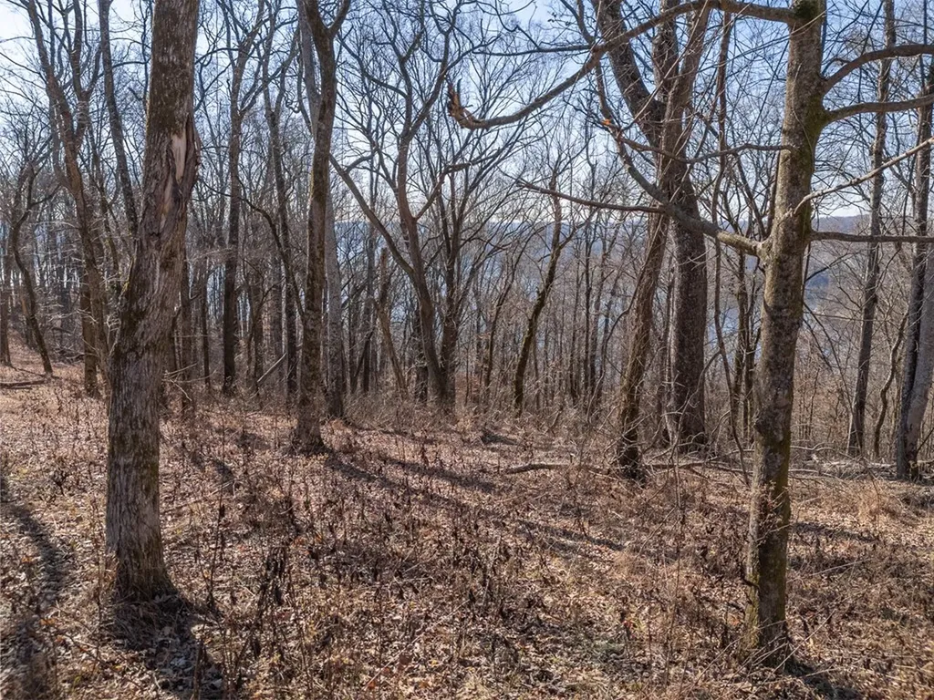 1 Ac Back Ranch Drive Silver Point TN 38582