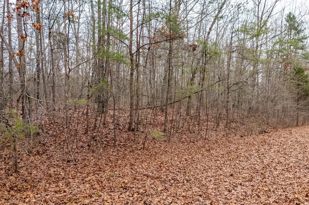 17 Hardwick Place Crossville TN 38558