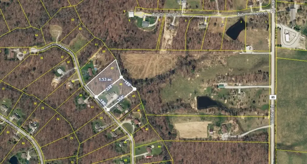 816 Wallace Way Grimsley TN 38565