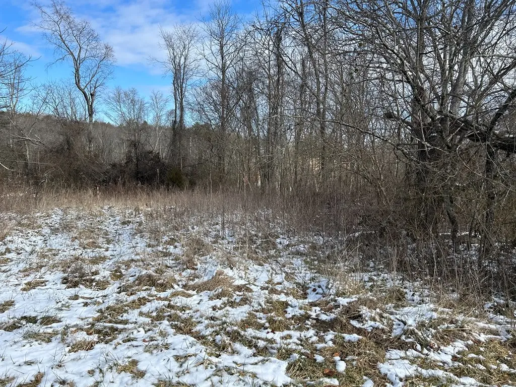 N/a Chapman Road Jamestown TN 38556