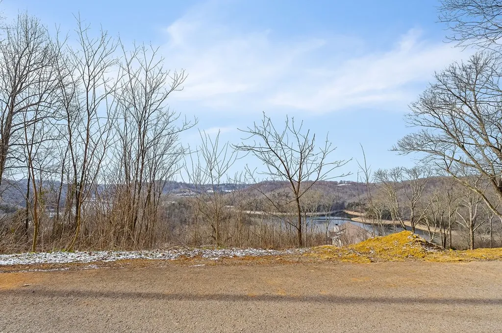 0 Seaton Drive Lot 325 Smithville TN 37166