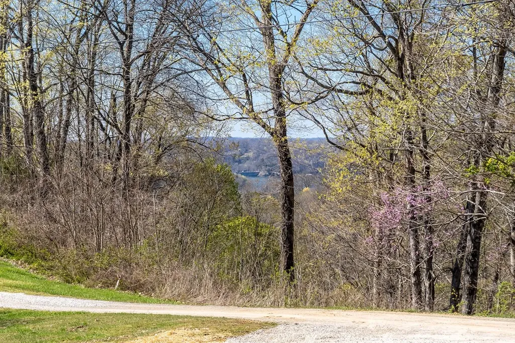 359 Greenie Meadows Estate Hilham TN 38568