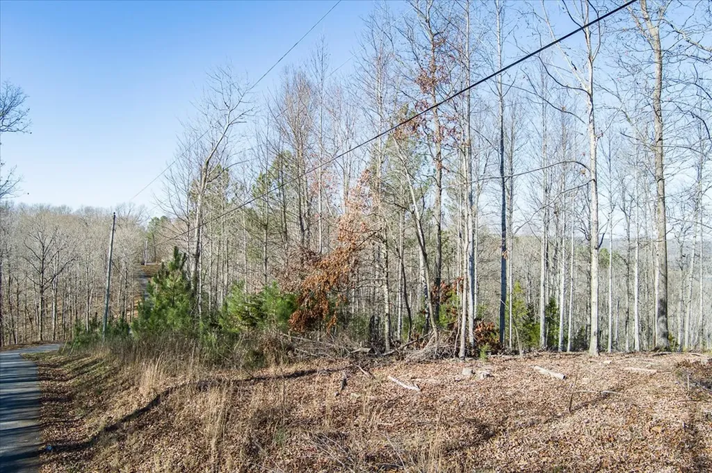 Lot 24 Lillydale Road Byrdstown TN 38549