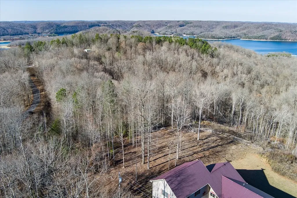 Lot 24 Lillydale Road Byrdstown TN 38549