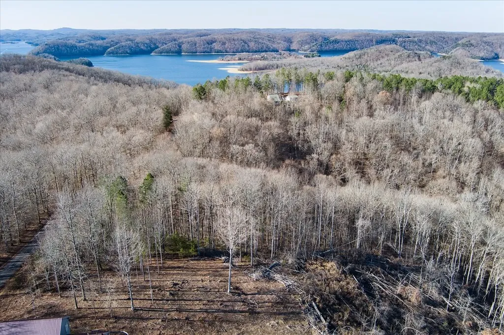 Lot 24 Lillydale Road Byrdstown TN 38549