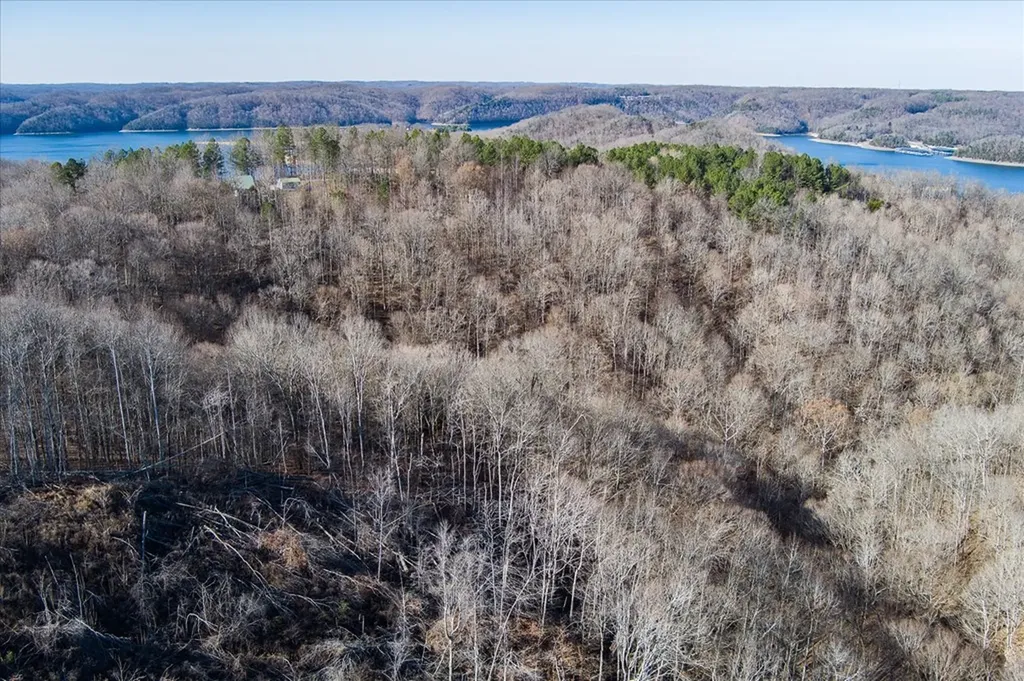 Lot 24 Lillydale Road Byrdstown TN 38549