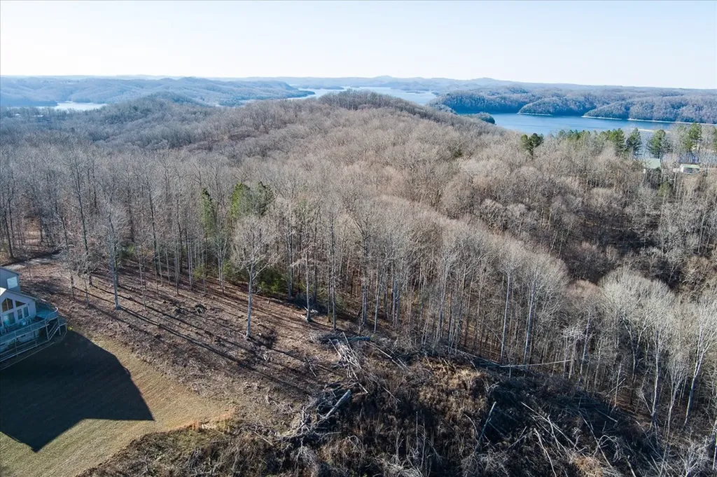 Lot 24 Lillydale Road Byrdstown TN 38549