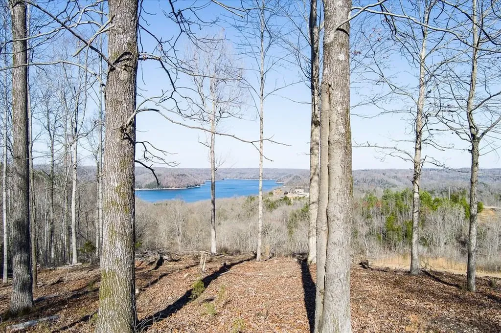 Lot 23 Lillydale Road Byrdstown TN 38549
