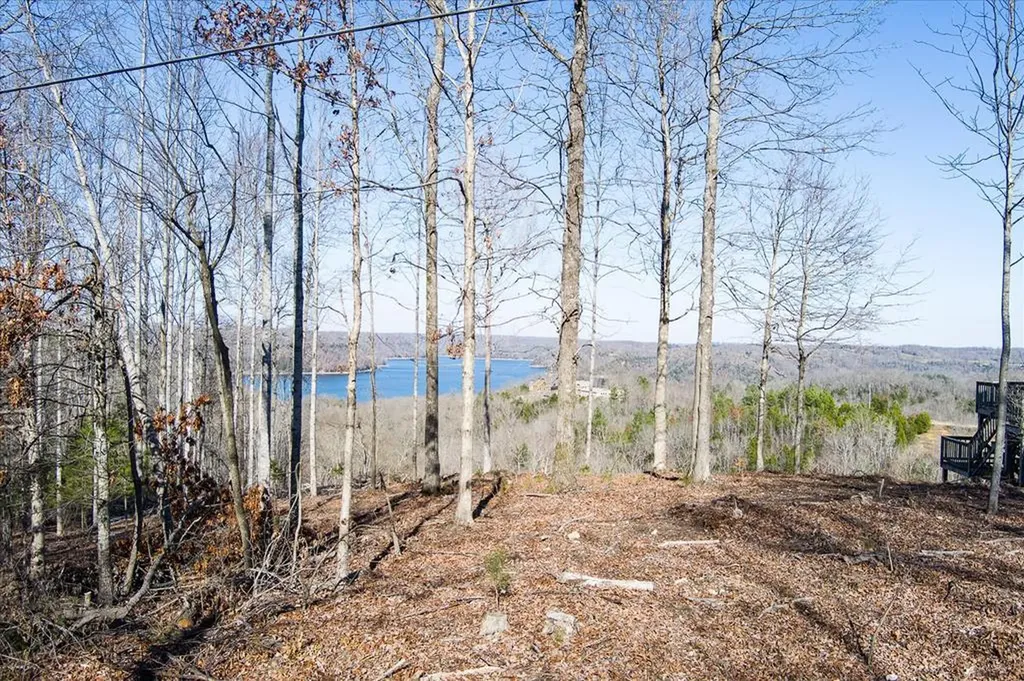Lot 23 Lillydale Road Byrdstown TN 38549