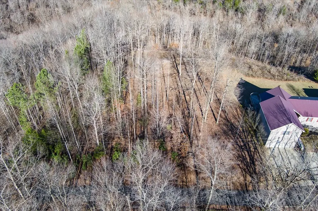 Lot 23 Lillydale Road Byrdstown TN 38549