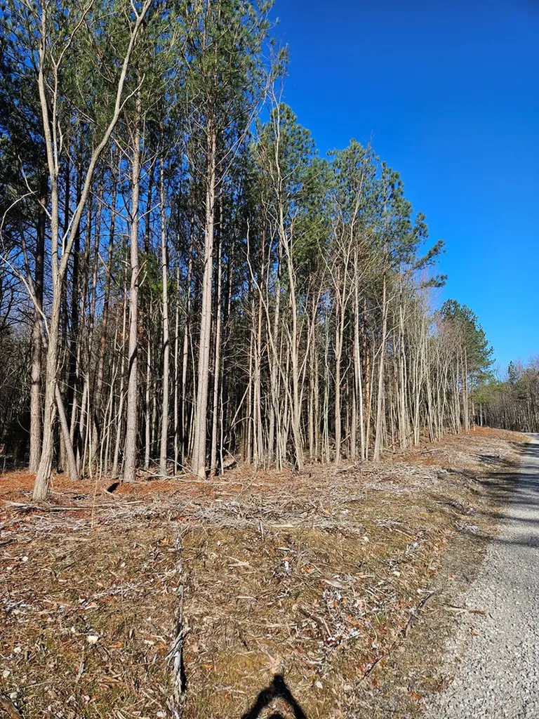 Lot 57 Spokelay Road Spencer TN 38585