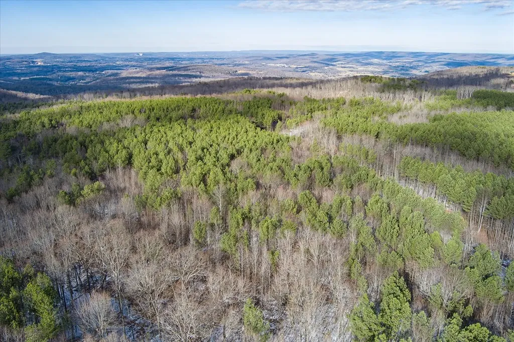 Lot 57 Spokelay Road Spencer TN 38585