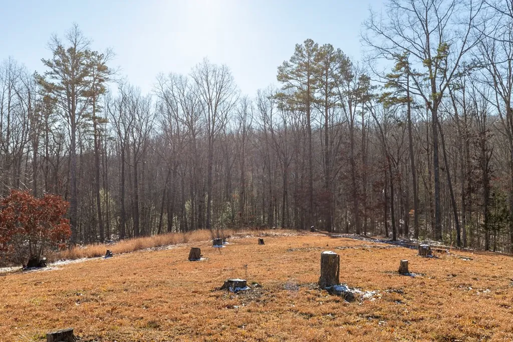 14914 Peach Stone Crawford TN 38554