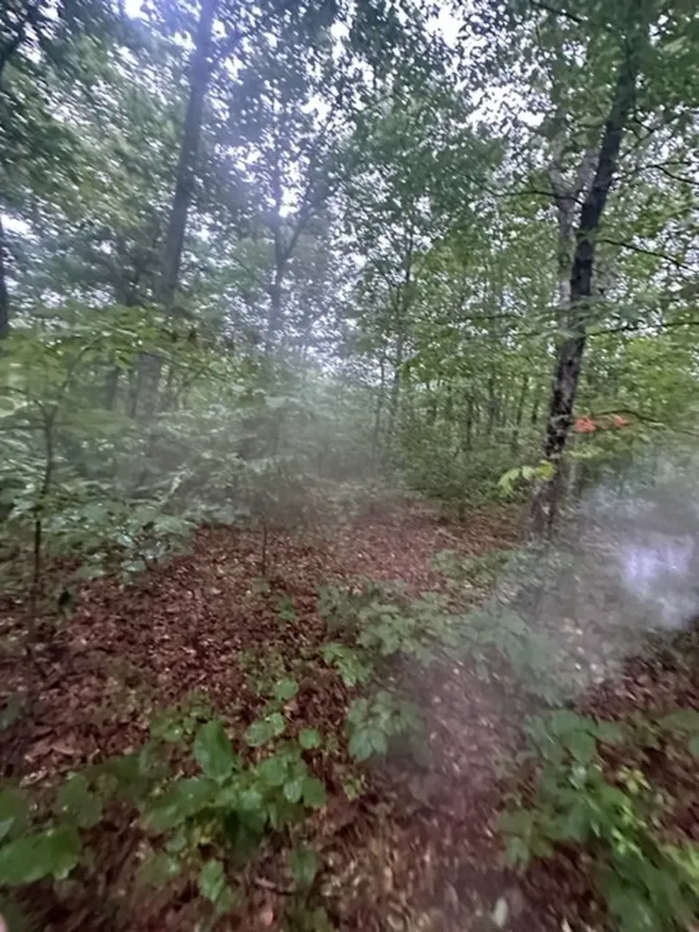 Lot 33 Wilson Ridge Road Wilder TN 38589