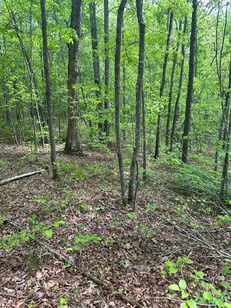 Lot 33 Wilson Ridge Road Wilder TN 38589