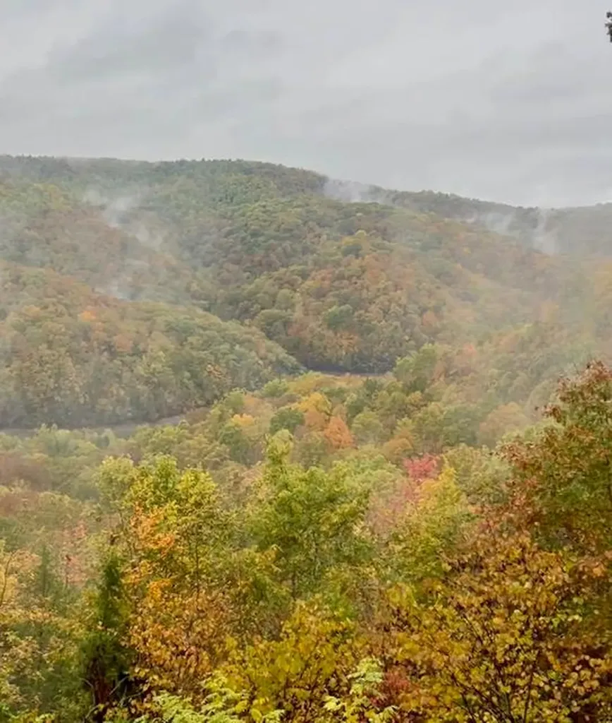 451 E Sunset Boulevard Allons TN 38541