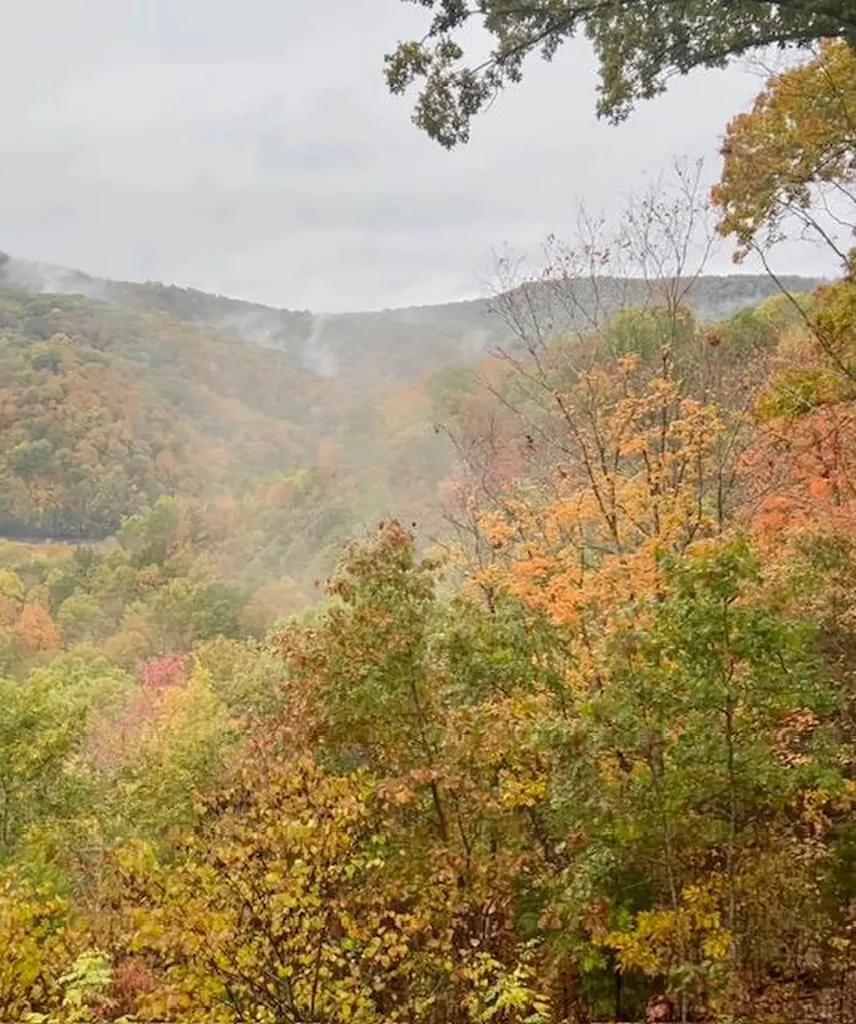 451 E Sunset Boulevard Allons TN 38541