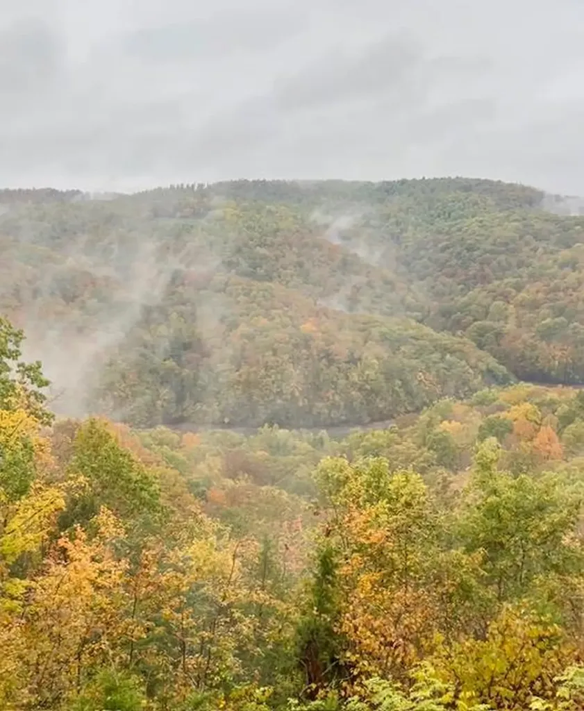 451 E Sunset Boulevard Allons TN 38541