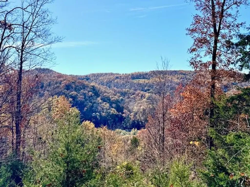 451 E Sunset Boulevard Allons TN 38541