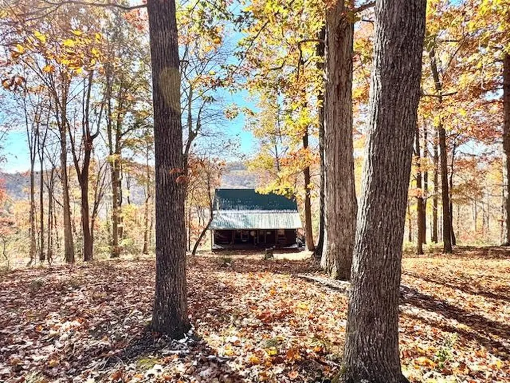 451 E Sunset Boulevard Allons TN 38541