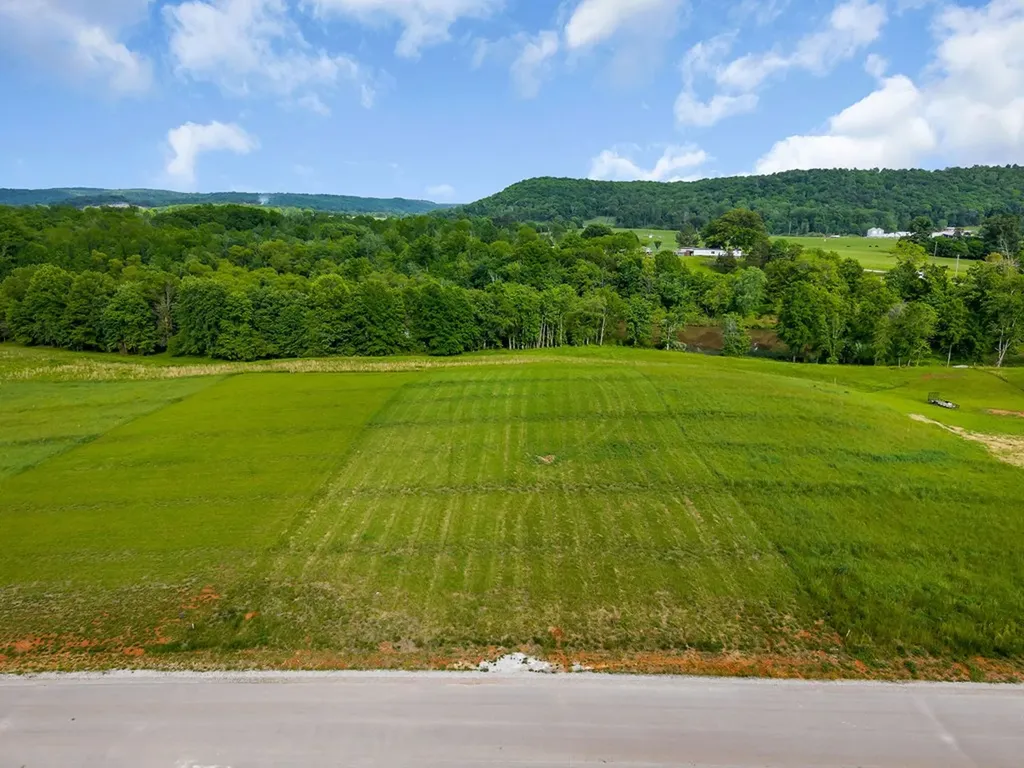 238 Huntington Lane Sparta TN 38583