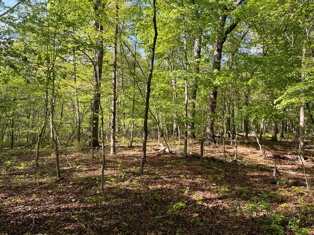 328AC Peavine Firetower Road Crossville TN 38571