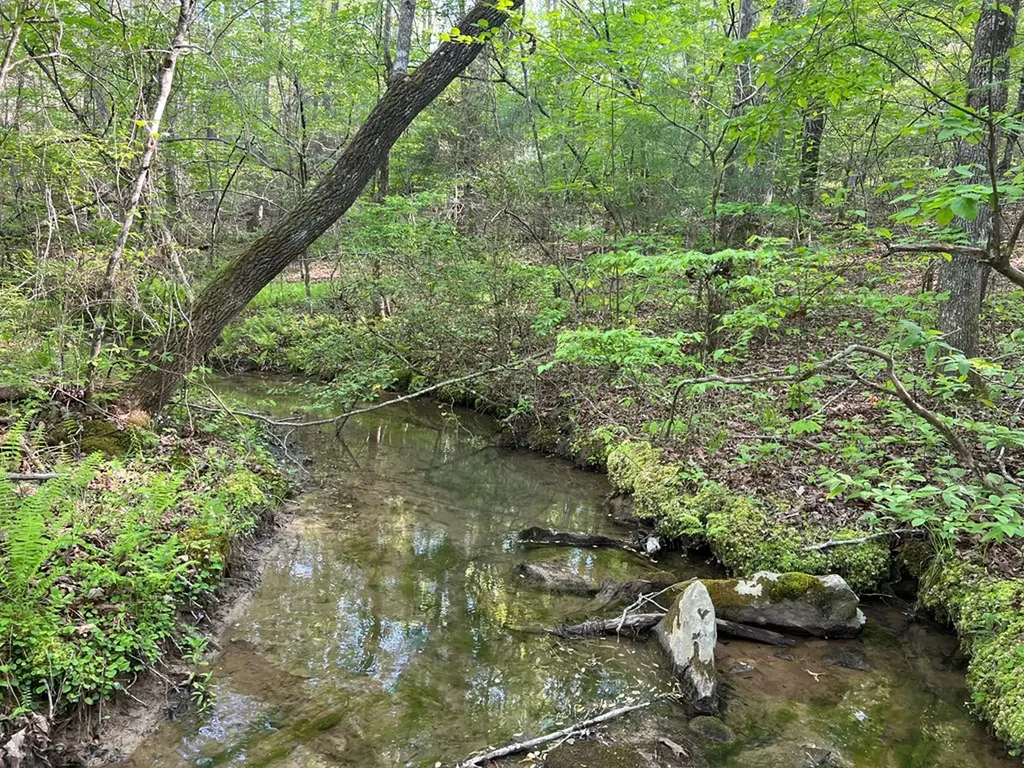 328AC Peavine Firetower Road Crossville TN 38571
